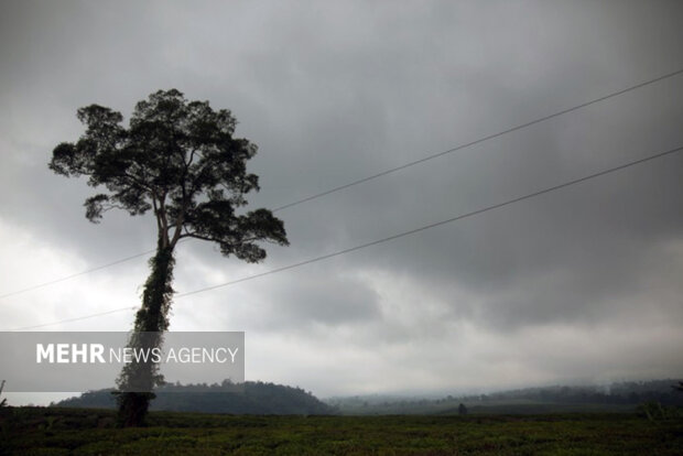 معضلی به نام کمبود بارش؛ اوج کم آبی سمنان خودش را نشان داد