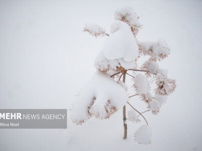 بارش سنگین برف در محور مواصلاتی قهرود به کاموی شهرستان کاشان