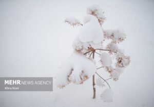 پوشش برفی حوضههای آبریز آذربایجان غربی به ۱۰!هزار کیلومتر مربع رسید