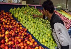 آغاز جانمایی و توسعه میادین میوه و ترهبار تهران