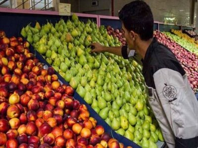 آغاز جانمایی و توسعه میادین میوه و ترهبار تهران