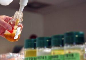 حضور مأموران مبارزه با دوپینگ در مسابقات کشتی آزاد