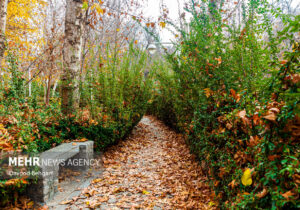 هوای مشهد سالم است