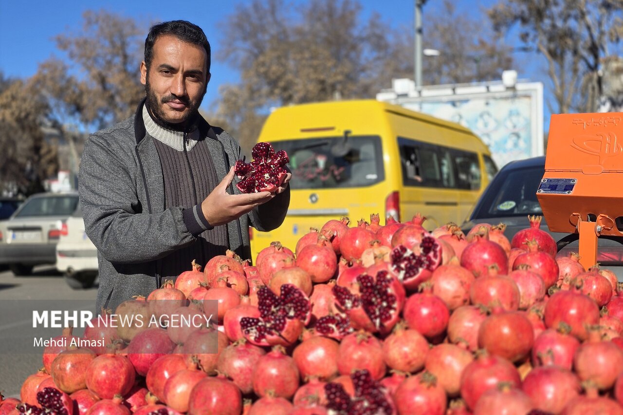 میوه یلدا روی دور تند گرانی؛ دلالها در میدان، نظارت در حاشیه