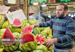 میوه یلدا روی دور تند گرانی؛ دلالها در میدان، نظارت در حاشیه