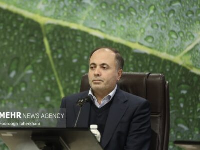 نوری غزلچه: ۳.۵ میلیون تن نهاده دامی در بندر امام خمینی موجود است