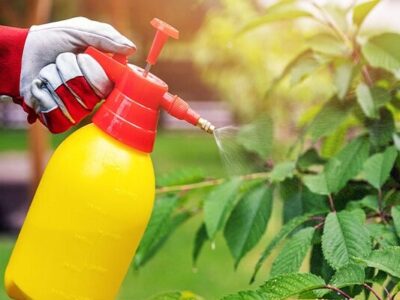 آفتکشها میکروبهای مفید روده را به خطر میاندازند