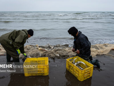 نفس صیاد به دریا بند است؛ معیشت سخت صیادان شمال
