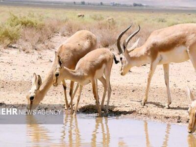 پارک ملی موته در آغوش حسن رباط؛ فرصتی تازه برای گردشگری طبیعت