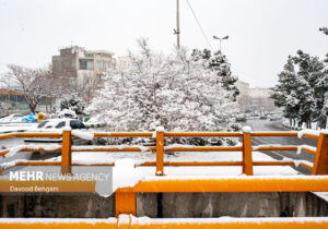 هوای مشهد پاک است