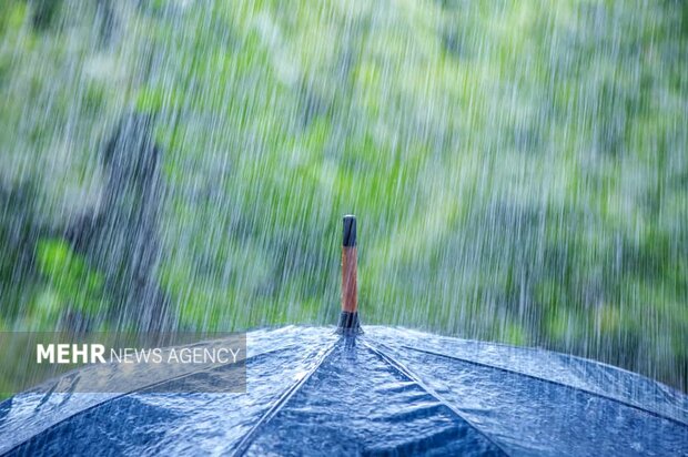 مدیرکل هواشناسی بوشهر: تمرکز فعالیت سامانه بارشی در جنوب استان است