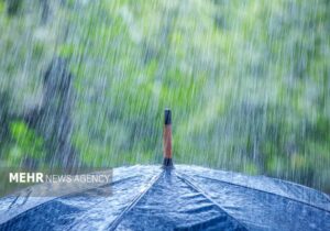 مدیرکل هواشناسی بوشهر: تمرکز فعالیت سامانه بارشی در جنوب استان است