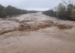 طغیان رودخانه گز در سیریک بر اثر بارندگی شب گذشته