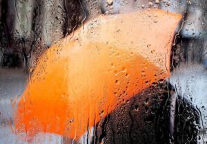 جوادی: موج سرد و ماندگار بارشی از فردا وارد استان یزد میشود