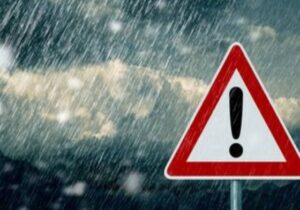 هشدار سرمازدگی محصولات کشاورزی پس از بارش‌ها در هرمزگان