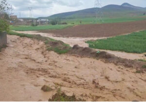 نجات کشاورز گرفتار در سیلاب روستای گرو میناب