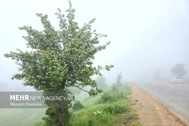 مه گرفتگی شدید در برخی از محورهای مواصلاتی استان ایلام