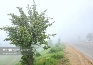 مه گرفتگی شدید در برخی از محورهای مواصلاتی استان ایلام