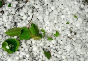 تگرگ شدید در روستای سرزه شمیل هرمزگان