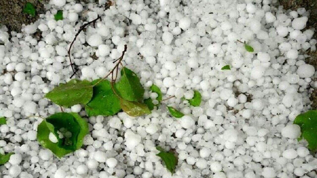 تگرگ شدید در روستای سرزه شمیل هرمزگان تگرگ شدید در روستای سرزه شمیل هرمزگان