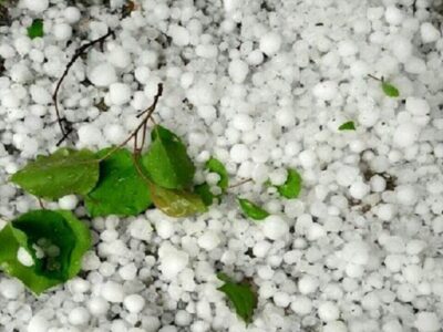 بارش تگرگ به مزارع کاهو و ذرت در روستاهای کازرون خسارت زد