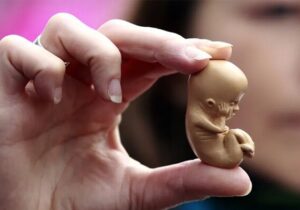 روزانه تا هزار سقط جنین در کشور؛ آماری ۳۰ برابر تلفات تصادفات!