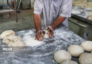 تشکیل پرونده برای ۵۶ نانوایی متخلف در کرمانشاه