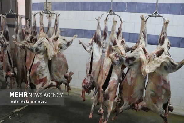 باند توزیع گوشت‌های آلوده در اصفهان منهدم شد