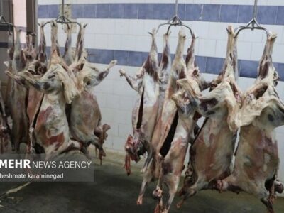 باند توزیع گوشتهای آلوده در اصفهان منهدم شد