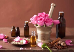 گلاب سیاه رونمایی شد