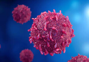 شریفی: آموزش و تغییر سبک زندگی کلید پیشگیری از بیماریها است