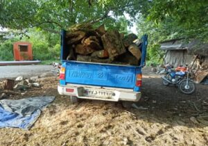 مانور مقابله با قاچاق چوب در غرب مازندران