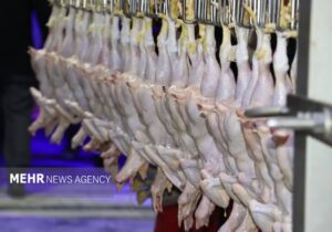 ۲ تن مرغ تاریخ‌گذشته در سردخانه‌های اهواز کشف شد