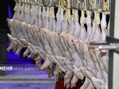 ۲ تن مرغ تاریخ‌گذشته در سردخانه‌های اهواز کشف شد