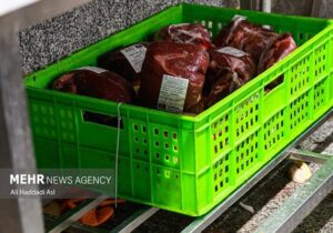 عرضه گوشت قرمز در کشتارگاههای رسمی به بیش از ۴۳ تن رسید