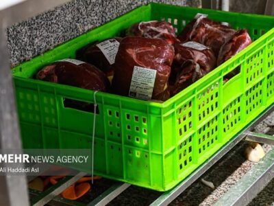 عرضه گوشت قرمز در کشتارگاههای رسمی به بیش از ۴۳ تن رسید
