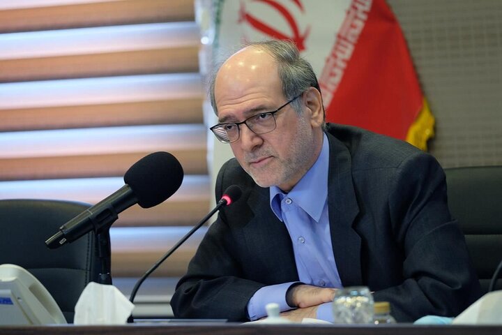 احمدی: استفاده از ظرفیت بخش خصوصی در حوزه فرهنگ و هنر ضروری است