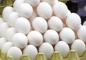 وقتی «گرانی» شانهبهشانه «تخممرغ» میزند