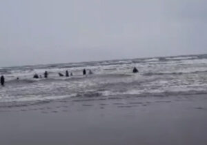 هشدار هواشناسی دریایی و اعلام وضعیت سطح نارنجی