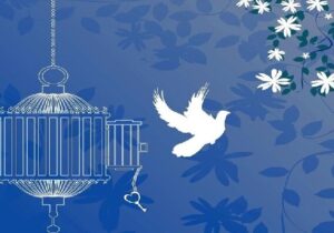 ۳۵۴ زندانی جرایم غیرعمد در خوزستان طی ۹ ماهه امسال آزاد شدند