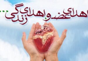 ناظری:  ۱۷ مورد اهدای عضو در مازندران ثبت شد