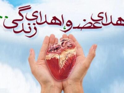 ناظری:  ۱۷ مورد اهدای عضو در مازندران ثبت شد