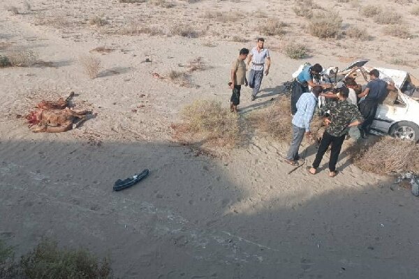 سرهنگ خمر: دو خودروی سواری با ۶ شتر در محور زاهدان-زابل برخورد کردند