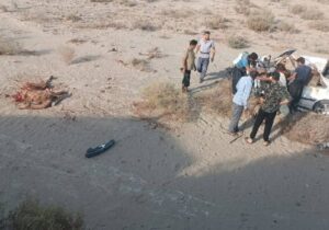 سرهنگ خمر: دو خودروی سواری با ۶ شتر در محور زاهدان-زابل برخورد کردند