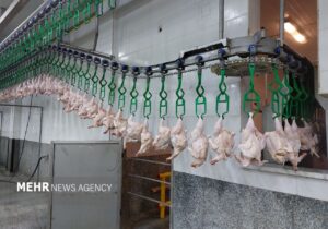 هر کیلو گرم گوشت مرغ ۱۶۸ هزار تومان شد+جدول قیمت کالاهای اساسی