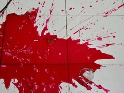 مشاجره خانوادگی در مشهد به قتل انجامید؛ افشای جنایت با تبر و قیچی