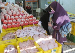 گرانی مرغ در کهگیلویه و بویراحمد؛ از سوءمدیریت تا مافیاهای بازار
