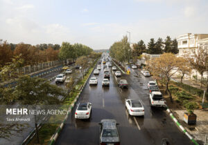 بارش باران در مشهد