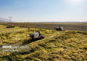 استاندار کرمان: ارتقای وضعیت کشاورزی، راهبرد جدی استان کرمان است