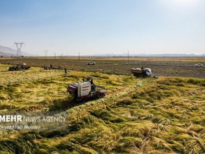 استاندار کرمان: ارتقای وضعیت کشاورزی، راهبرد جدی استان کرمان است